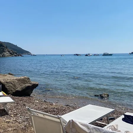 Volpina