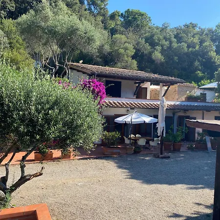Volpina Monte Argentario