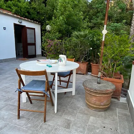 Volpina