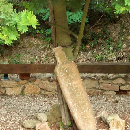 Volpina